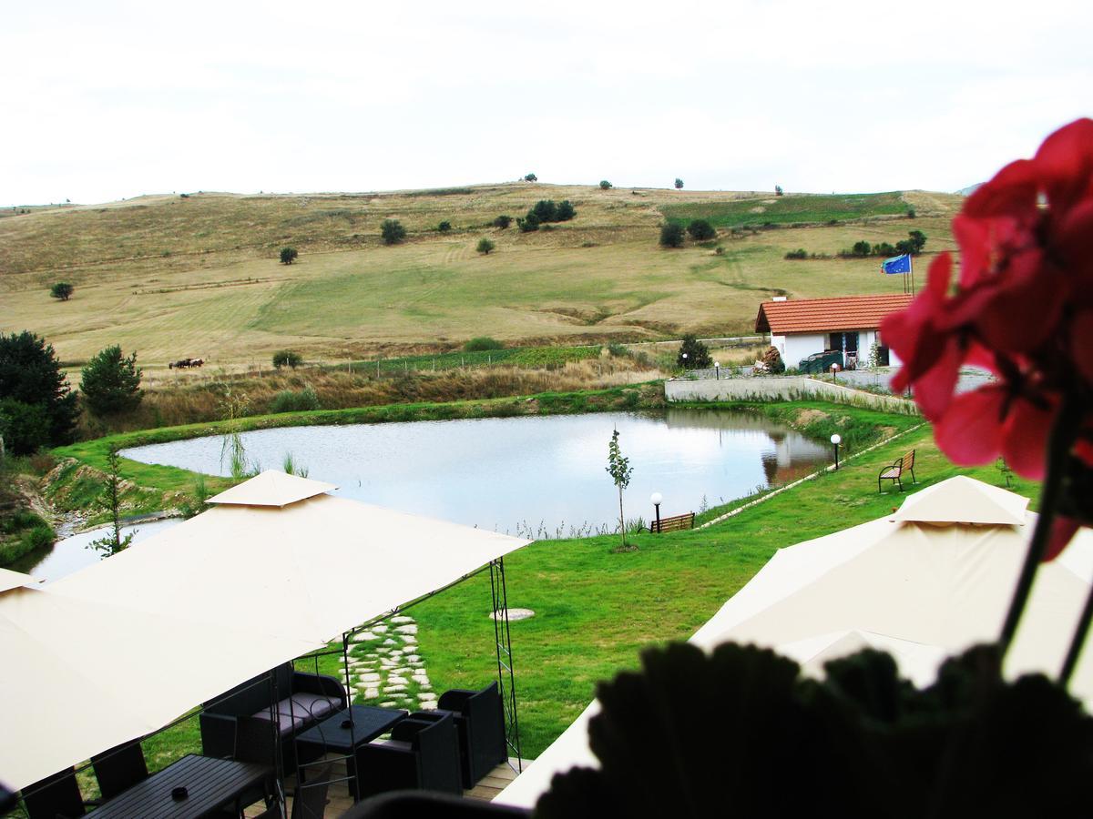 Park Hotel Eagle Stone Koprivshtitsa Εξωτερικό φωτογραφία